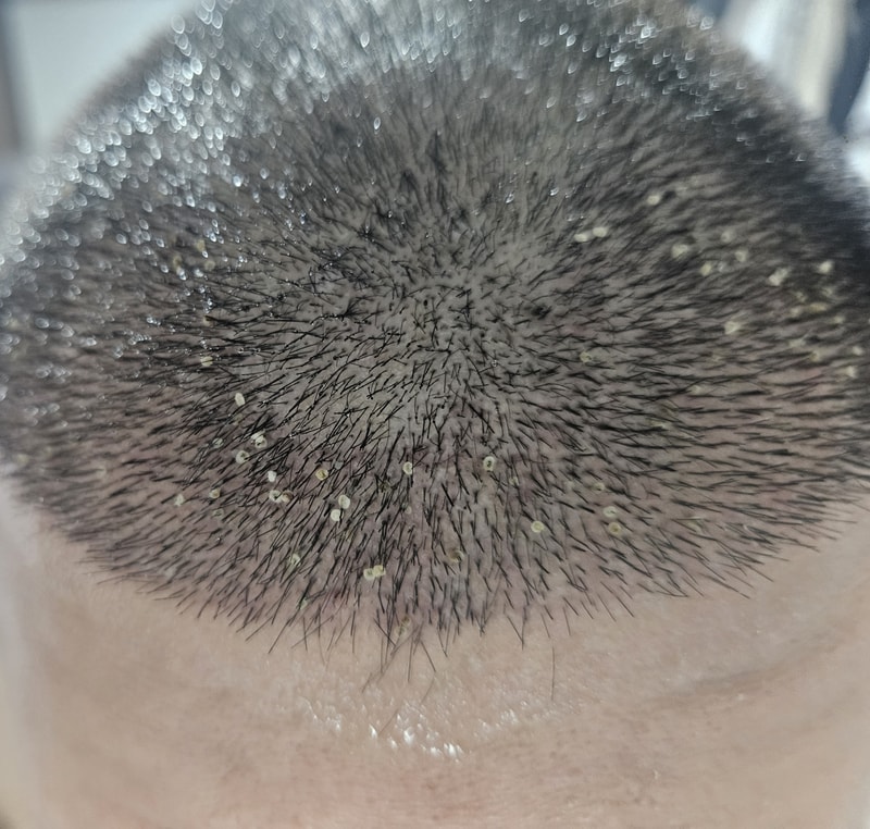 1000009445.jpg