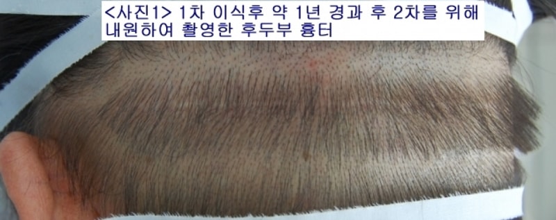 p1.jpg