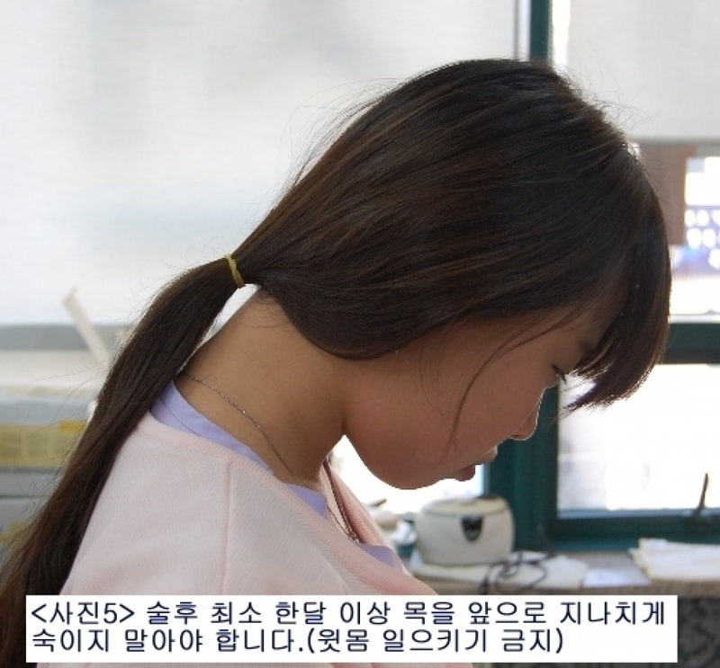 p5.jpg