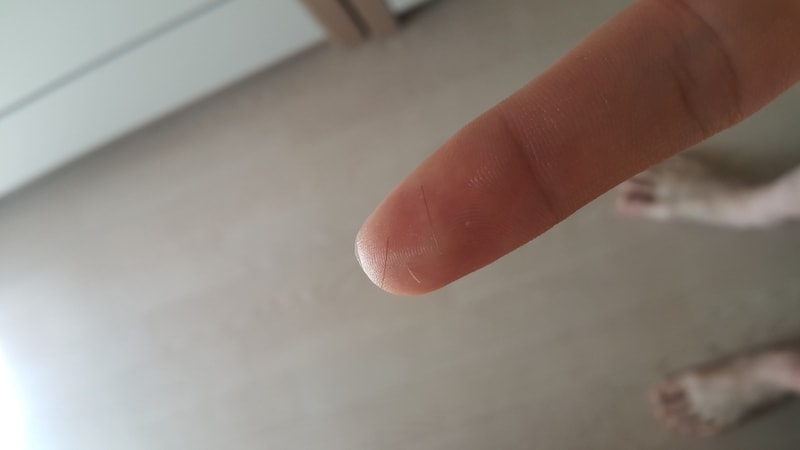 20190217_130852.jpg