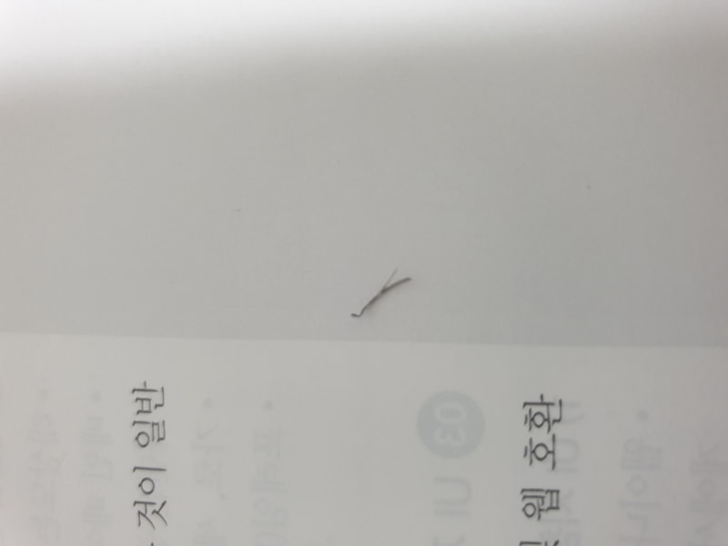 KakaoTalk_20210228_145533190_02.jpg