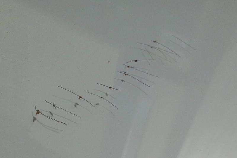 20131214_204700.jpg