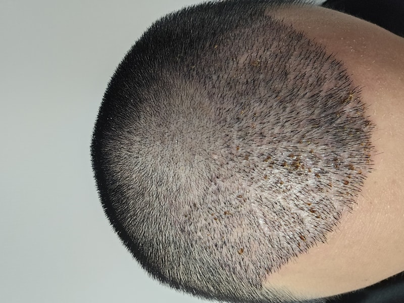 20250203_113234.jpg