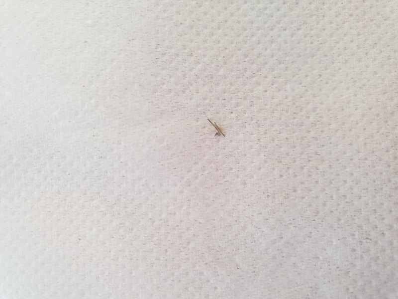 20190611_121609.jpg