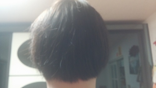 CAM00419.jpg