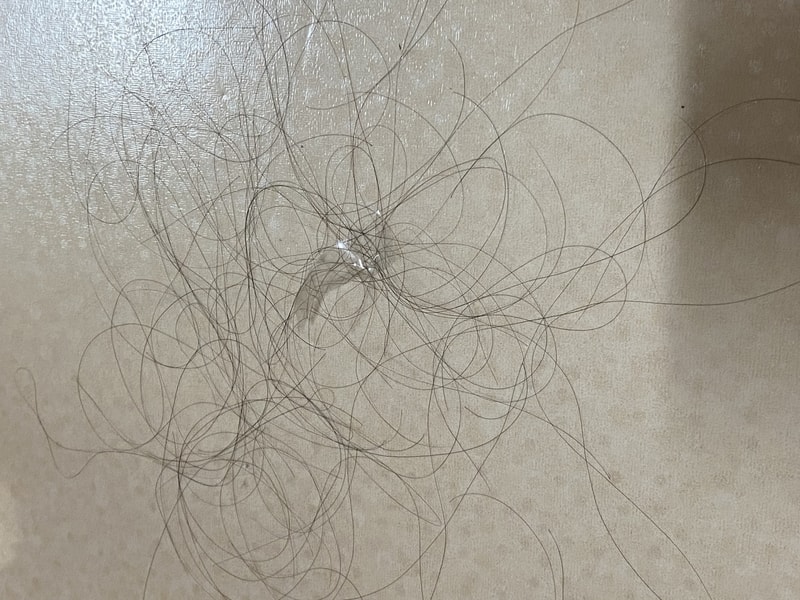 03FCE03F-F9CB-4802-8E48-5669B559FDDF.jpeg