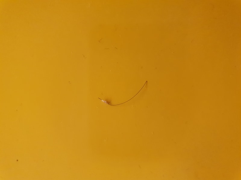 20180812_031132.jpg