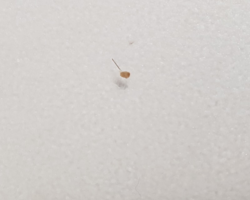 20180804_231041.jpg