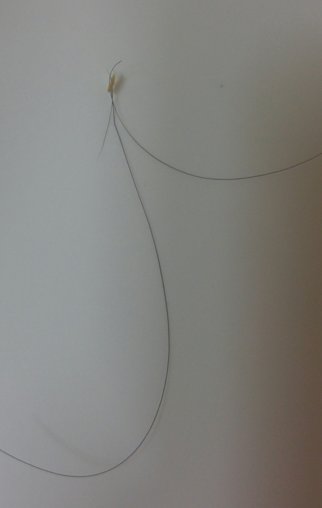 20170627_184958-1.jpg