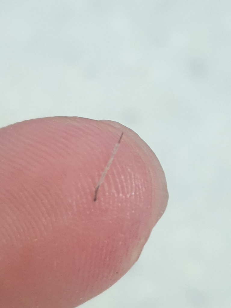 20190607_151406.jpg