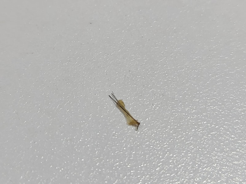 20201223_185143.jpg