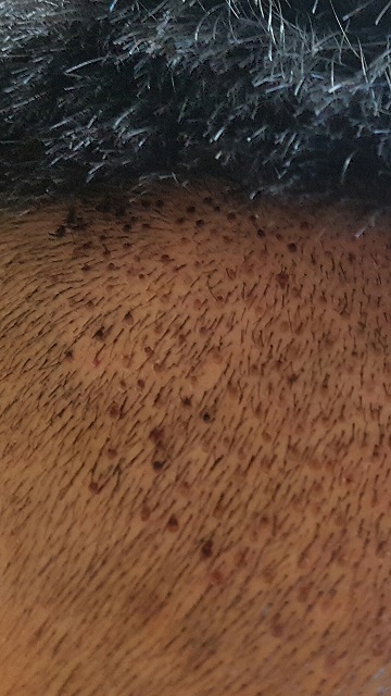 Screenshot_20160917-170712.jpg