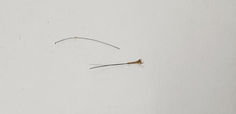 20180314_141743.jpg