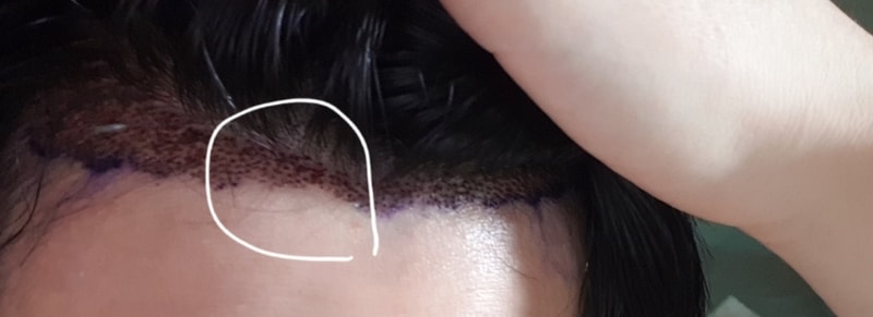 20190725_132825.jpg
