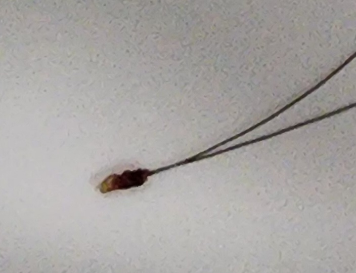 20230414_120624.jpg