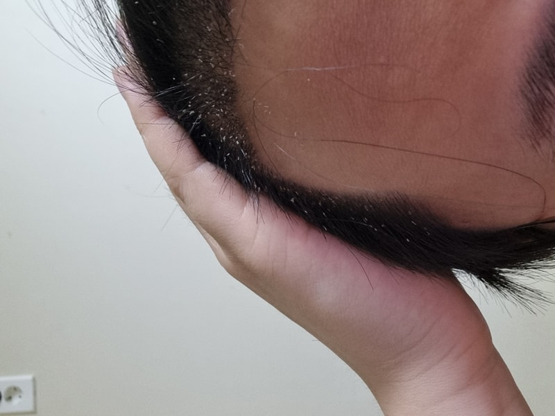 20240326_012710.jpg
