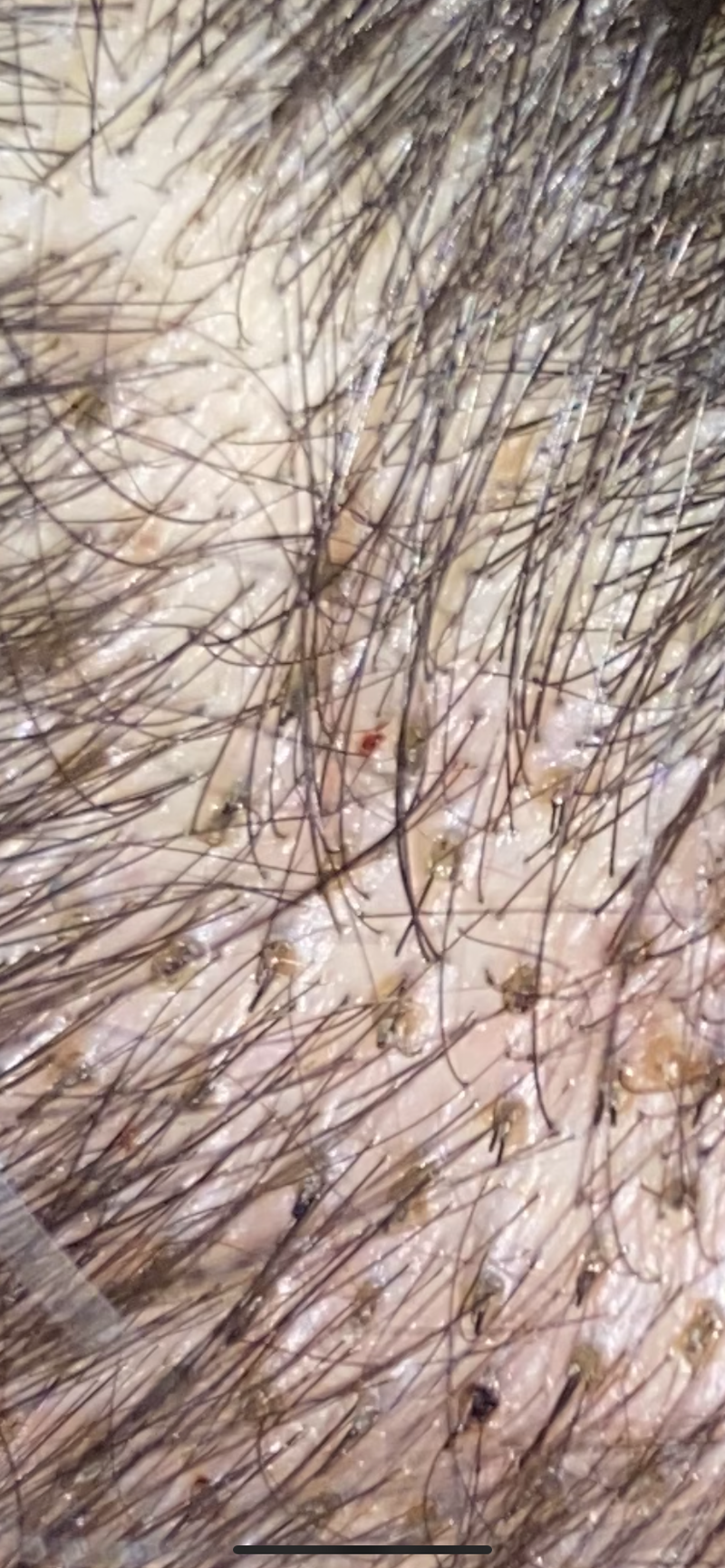 08586699-BA52-43D3-8C2E-AEA320F52B56.png