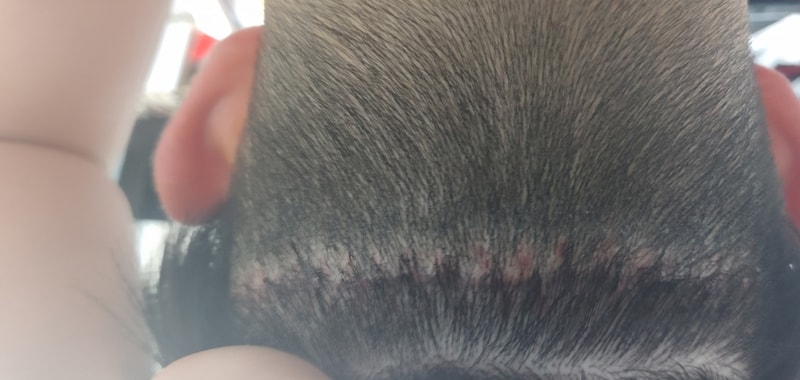 20190710_204508.jpg