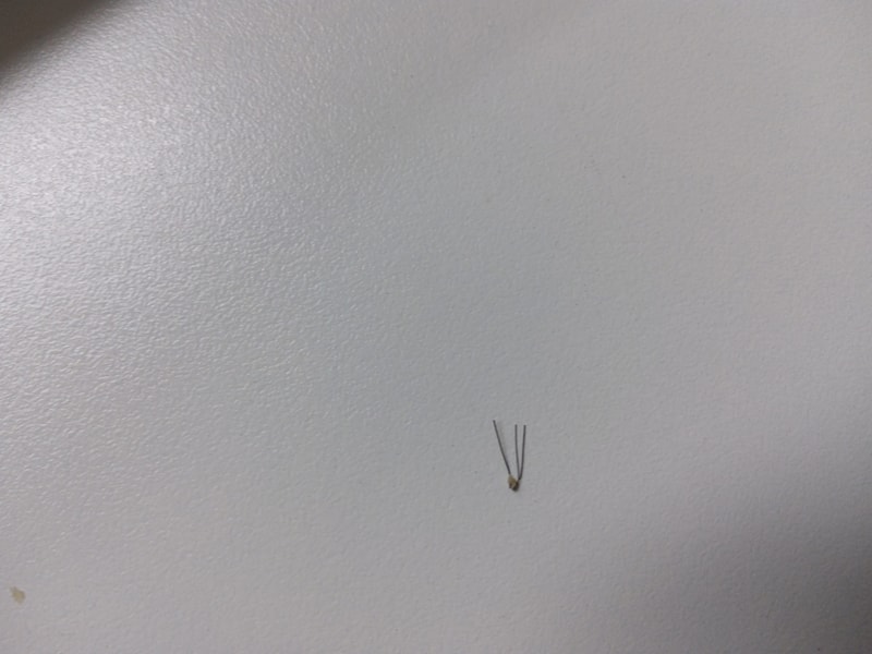 20190618_080846.jpg