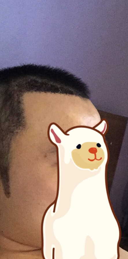 image.jpg