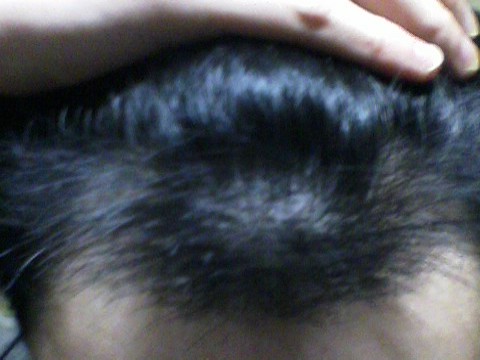 사진100105_000.jpg
