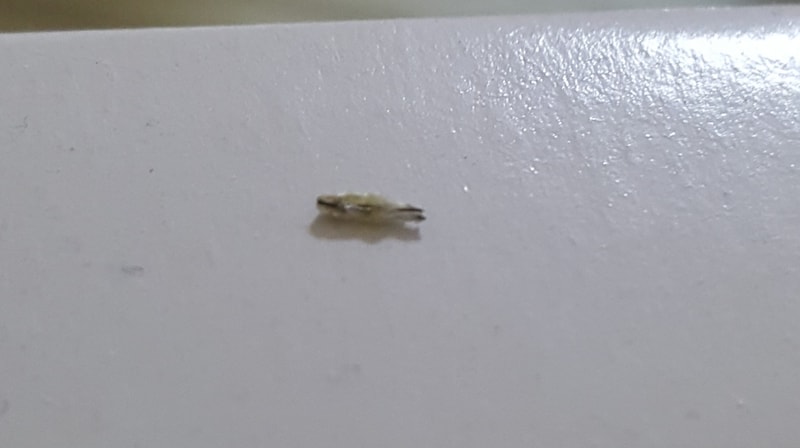 20181102_025148.jpg