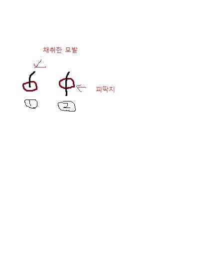 제목 없음.jpg