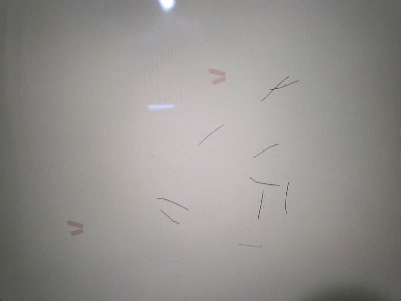 20211210_010445.jpg