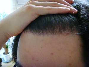 5.bmp