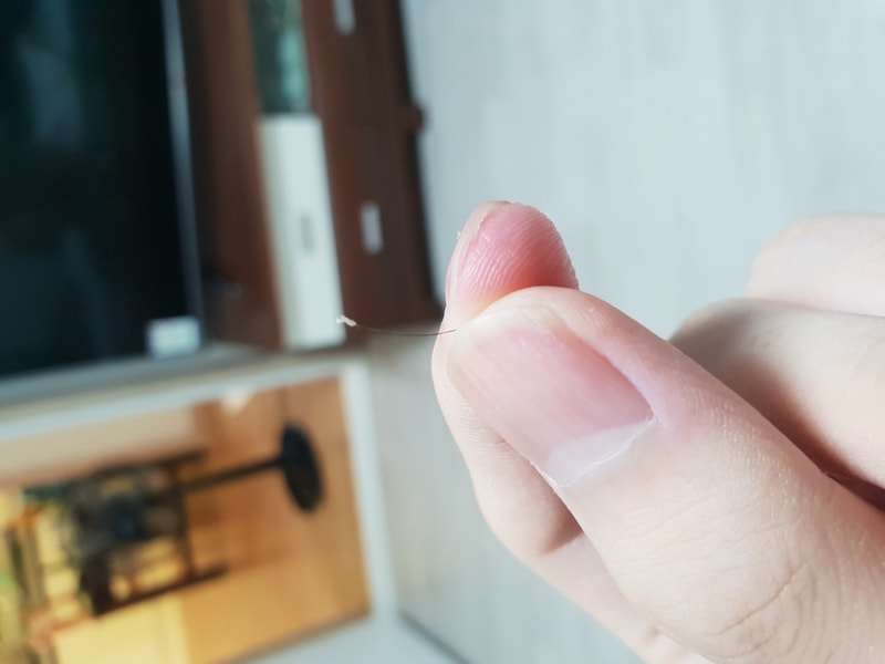 20180815_083053.jpg
