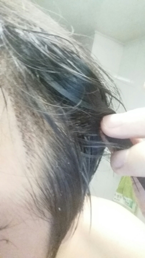 KakaoTalk_20161019_192757885.jpg