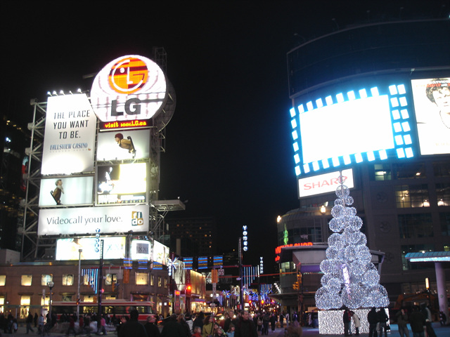 DSC08441.jpg