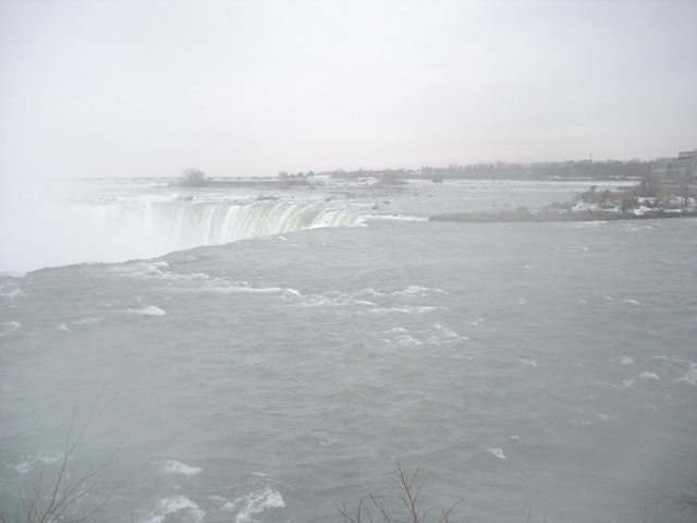 DSC08388.jpg