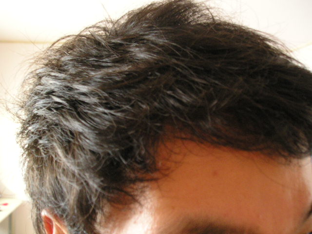 P1010004.JPG