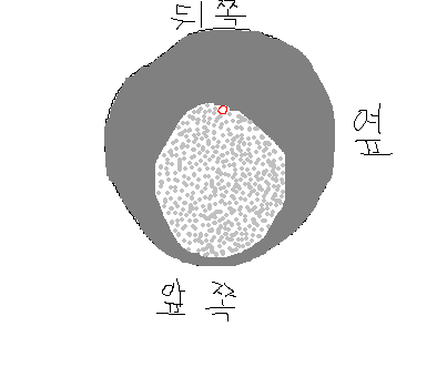 1.bmp