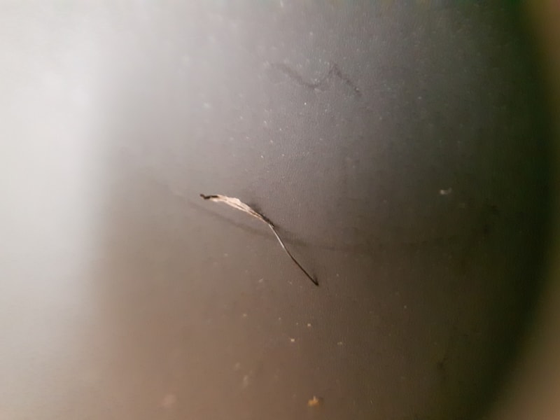 20180218_195424.jpg