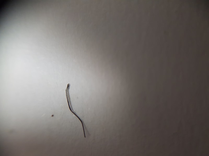 20180218_203332.jpg