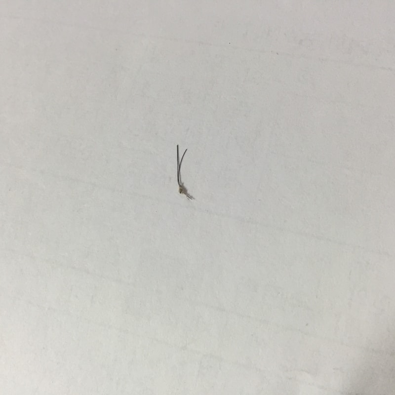 KakaoTalk_20190227_084703849.jpg