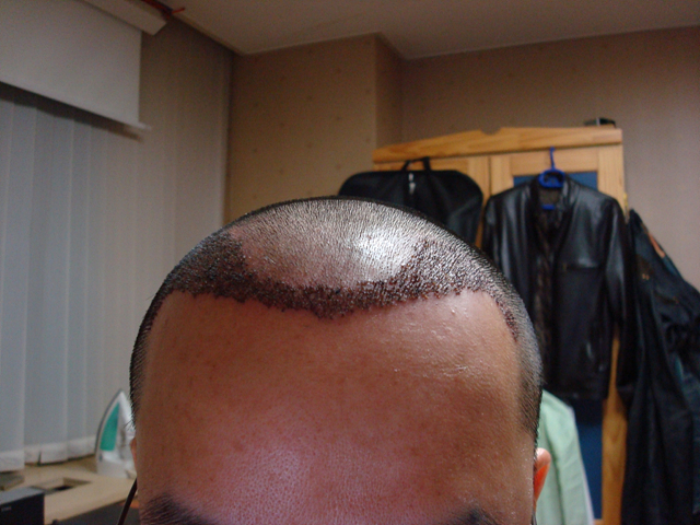 DSC00195.jpg