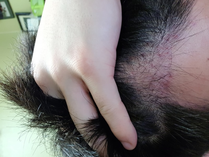 20180517_004857.jpg