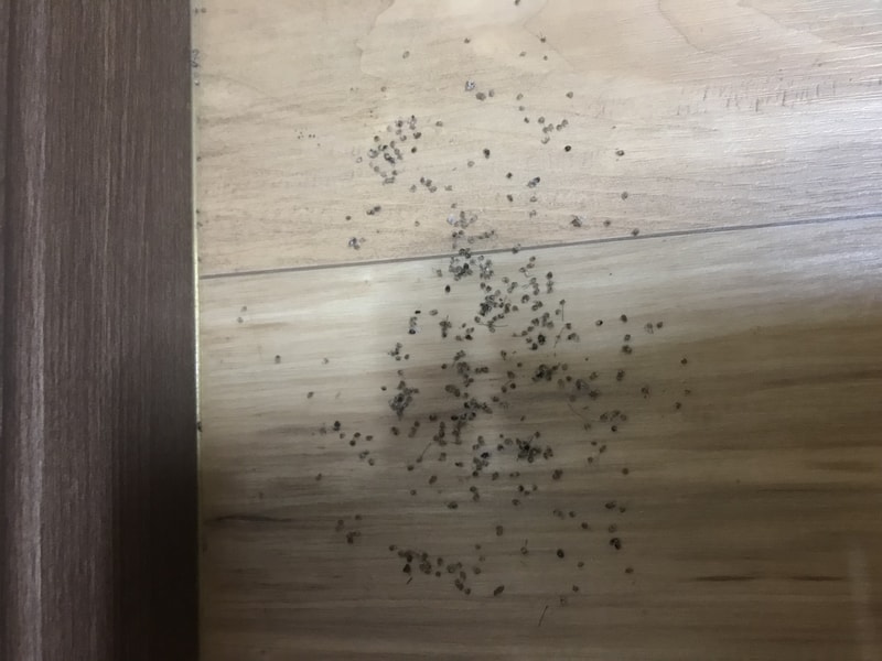 AD62600E-E696-463C-BF96-40D345A1D11C.jpeg