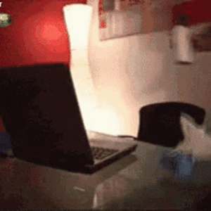 i015049806817.gif