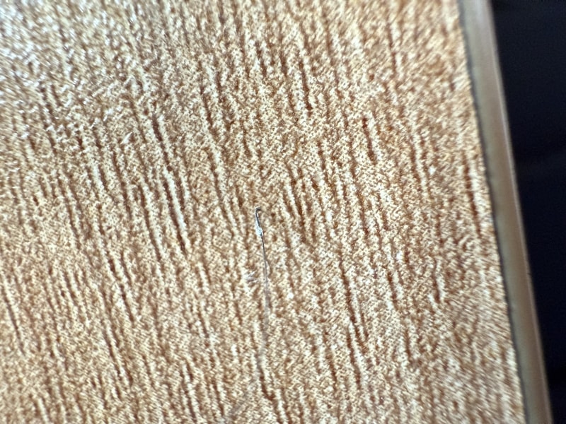 IMG_3286.jpeg