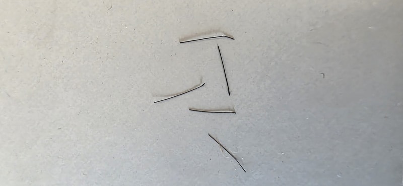 1000024744.jpg
