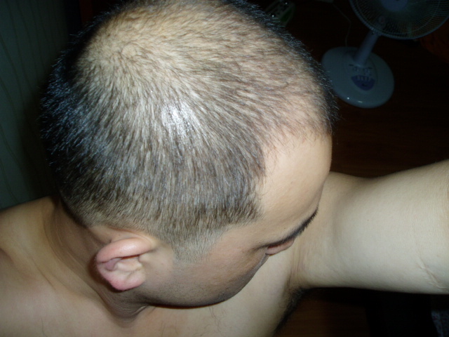 P1010037.JPG