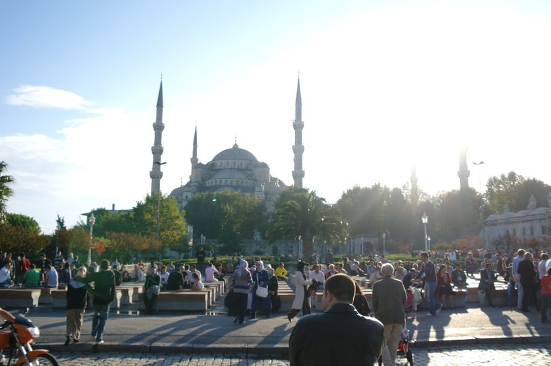 111.JPG