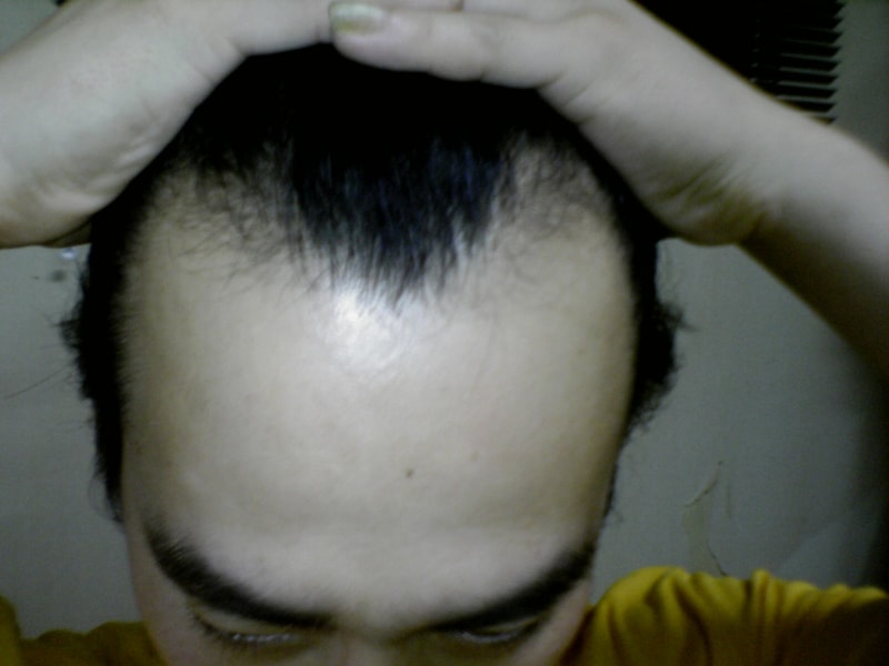 일반사진96_20060629010442.jpg