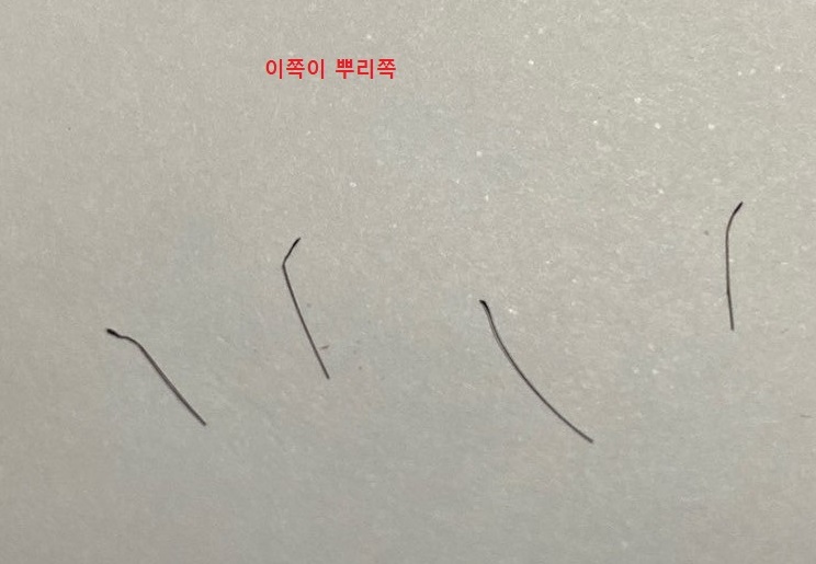 KakaoTalk_20191031_002512428.jpg