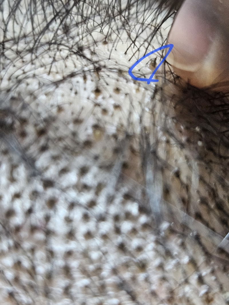 20250216_035100.jpg