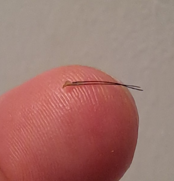 20230802_013505.jpg